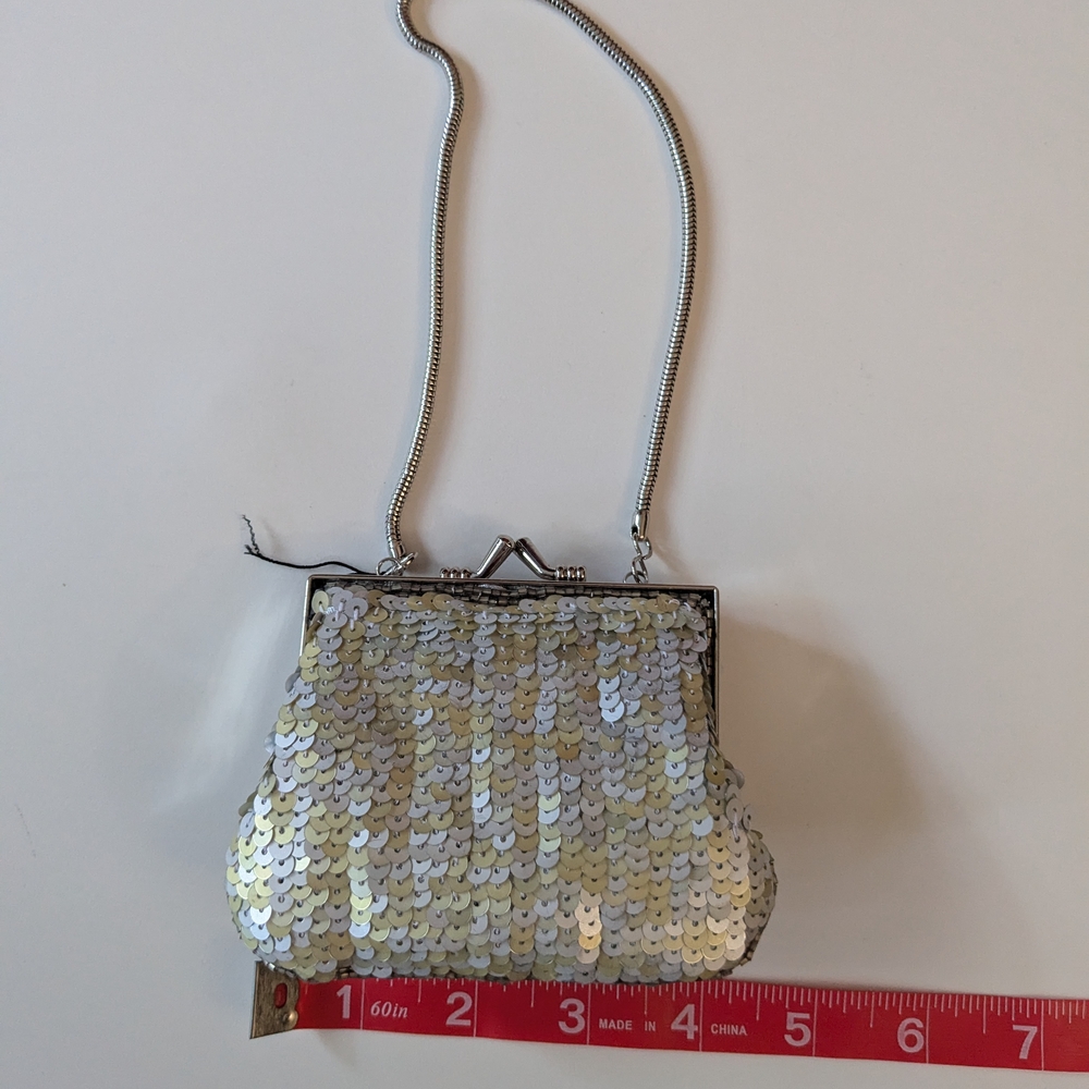 The Limited Silver Mini Bag with Structured Frame
